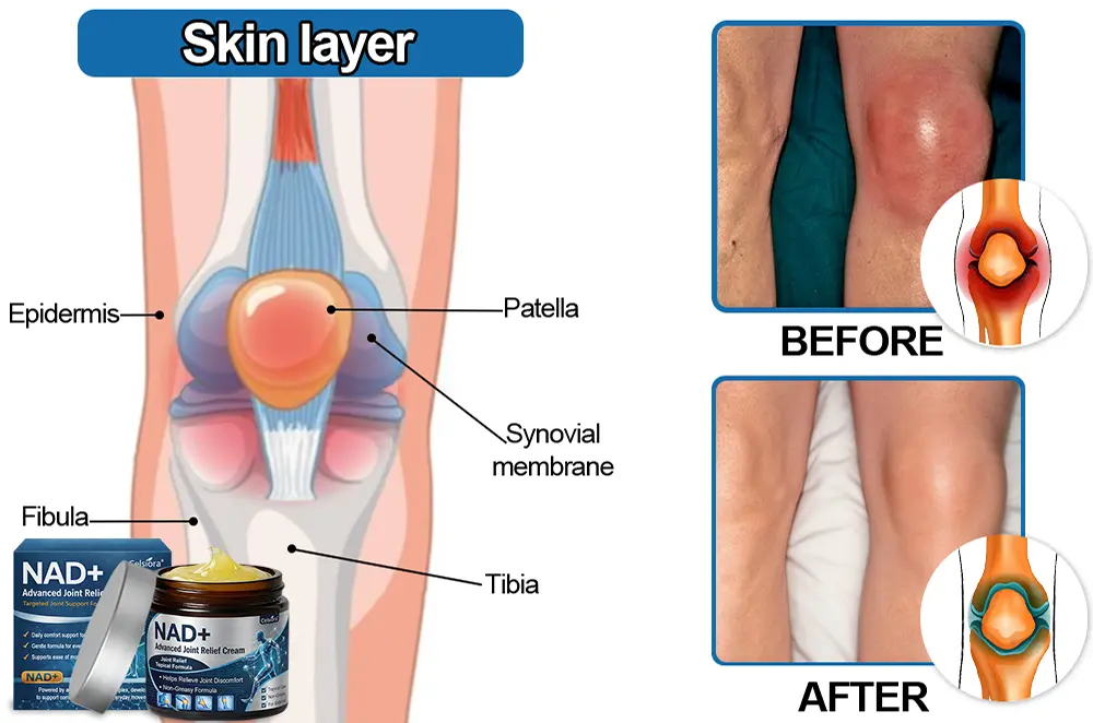 Celsiora® NAD+ Advanced Anti-Aging Joint Relief Cream