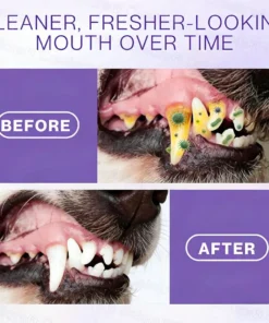 Celsiora® Pet Oral Spray