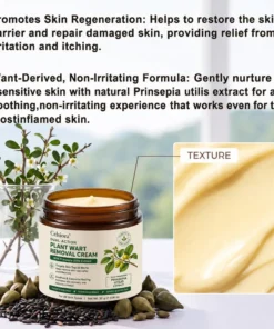Celsiora® SkinRepair Essence Cream