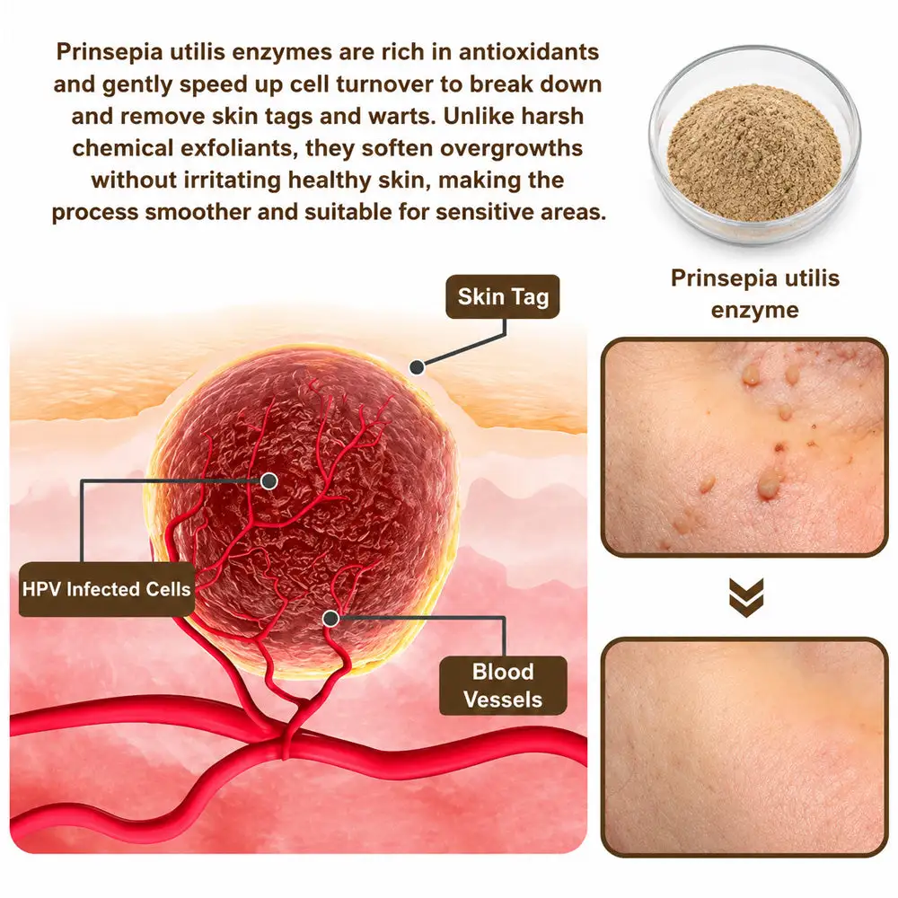 Celsiora® SkinRepair Essence Cream